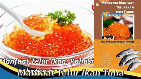 manfaat telur ikan tuna