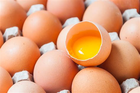 Temukan Manfaat Telur untuk Rambut yang Jarang Diketahui, Nomor 1 Bikin Terkejut!