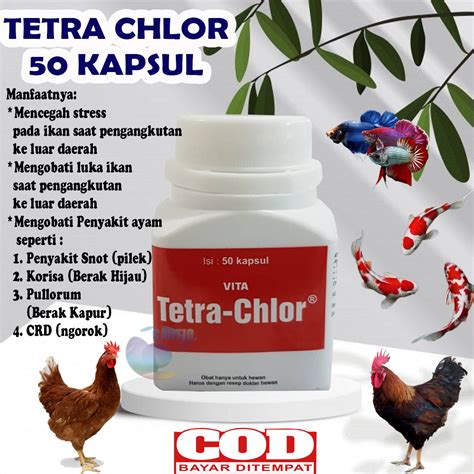 Unveil 6 Manfaat Tetra Chlor untuk Ayam yang Harus Anda Ketahui