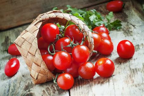 Temukan Manfaat Tomat Ceri: Dijamin Tercengang!