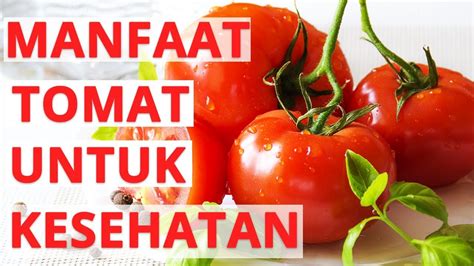 Manfaat Tomat untuk Diet yang Wajib Anda Ketahui