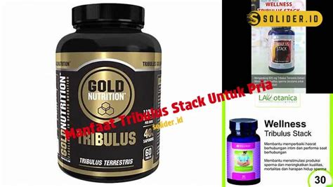 manfaat tribulus stack untuk pria