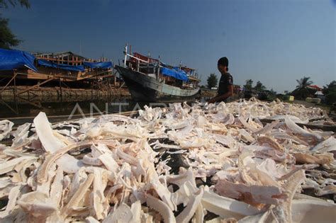 Temukan Manfaat Tulang yang Perlu Anda Ketahui