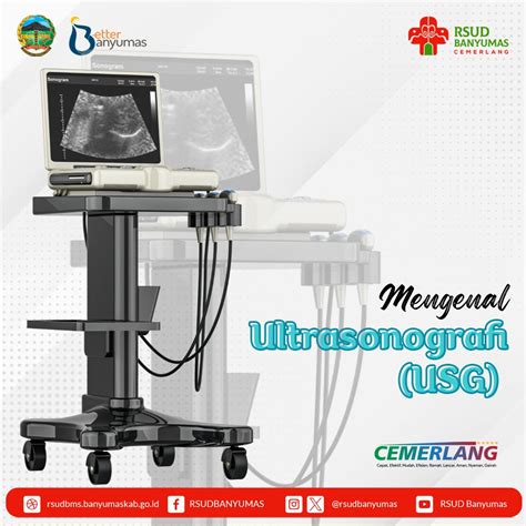 manfaat usg