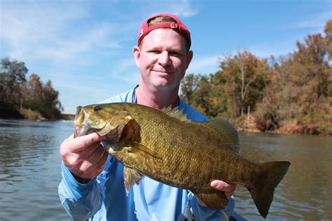 smallmouth bass in Root River