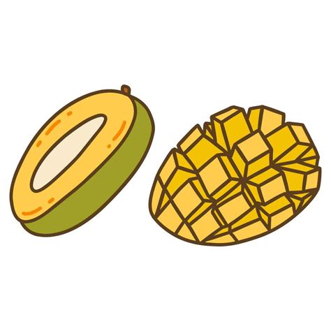 Mango Cut Drawing