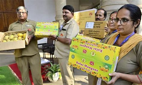 Mango Delivery Through Post Office
