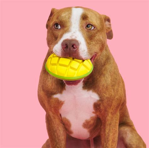 Mango Dog Toy