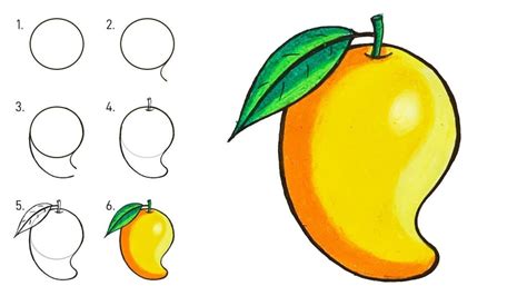 Mango Drawing Pictures Images