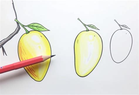 Mango Drawing Very Easy