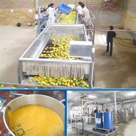 Mango Fruit Juice Processing Machine