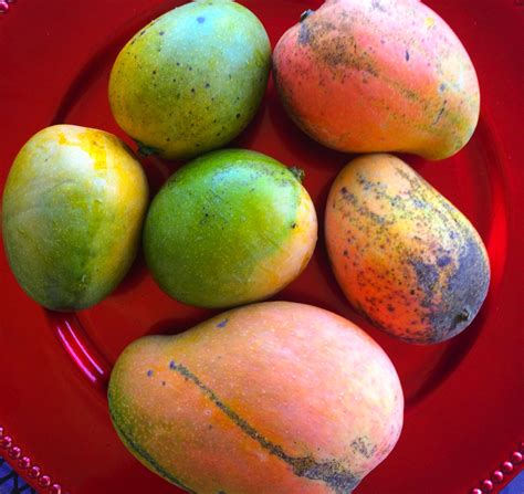 Mango In Jamaican