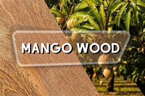 Mango Wood Good