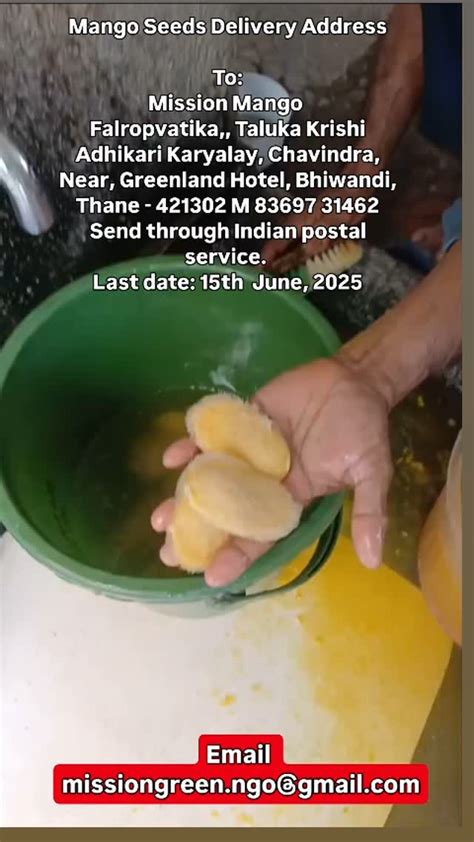 Mango Wrong Delivery Address