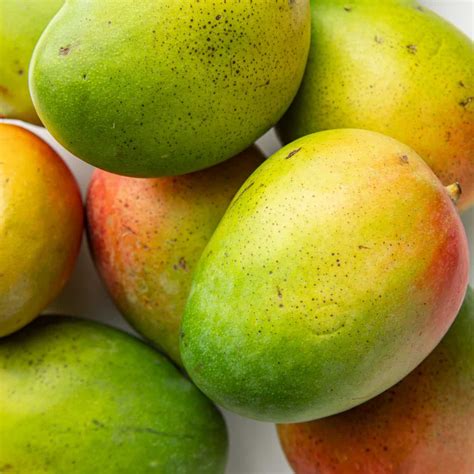 Mangoes When Ripe