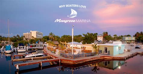 Discover the Allure of Mangrove Marina: A Hidden Gem in Coastal Living