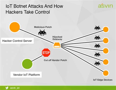 manoeuvre apply by Botnet Operators