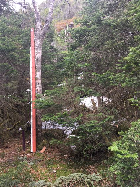 mansfield snow stake