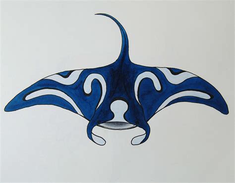 Master the Manta Ray Drawing: Tips and Tricks for Stunning Underwater Art