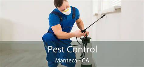 Manteca Pest Control: Effective Services for Reliable Pest Management Solutions