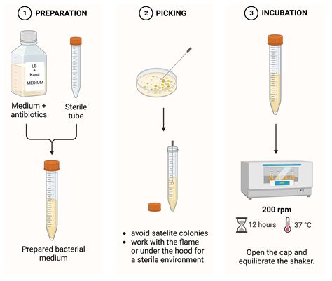 Manual Colony Picking