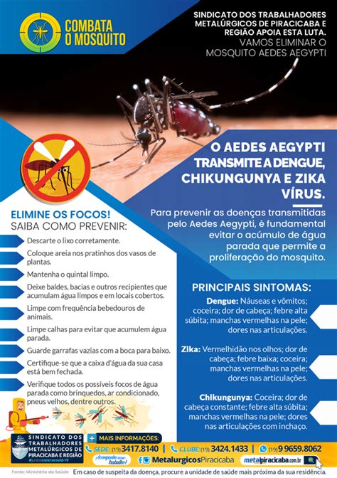 manual de dengue 2023