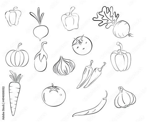 Many Vegetables Drawing