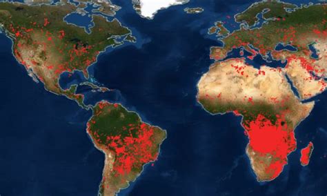 map of forest fires in china