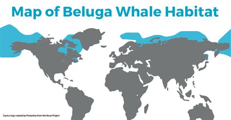map of where beluga whales live