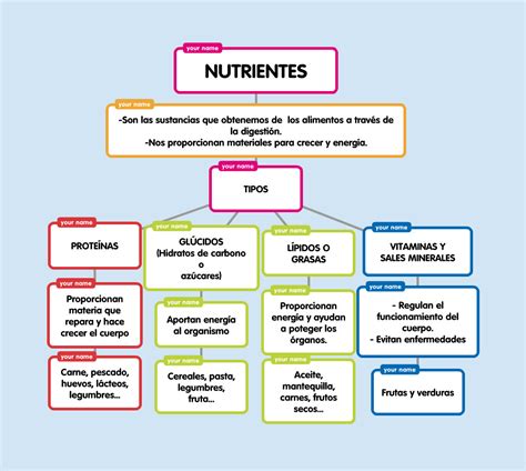 Mapa conceptual Nutrientes y Dieta Balanceada_AZAEL MORENO Dieta