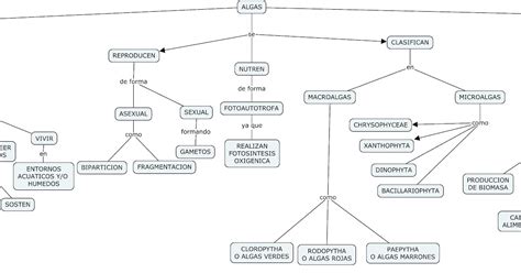 Biología y Geología 1º ESO noviembre 2014