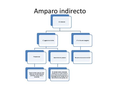 Amparo Indirecto Mapa Conceptual