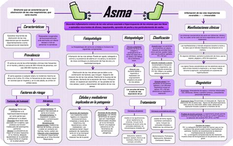 Mapa conceptual de Asma Map, Map screenshot, Shopping screenshot