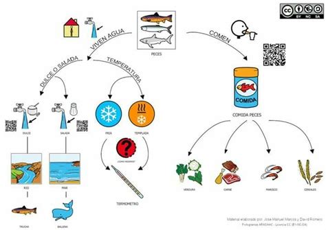 LOS PECES CONSERVACION MAPA CONCEPTUAL LOS PECES