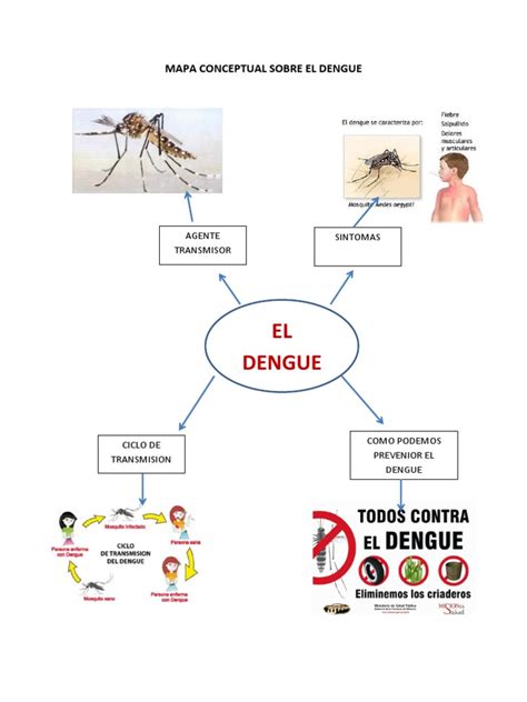 mapa conceptual del dengue