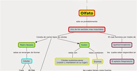Blog de Fisiologia Medica de Miguel Angel Rivera Arce Mapa conceptual