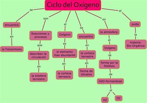 MAPA CONCEPTUAL SOBRE CICLO DEL OXÍGENO