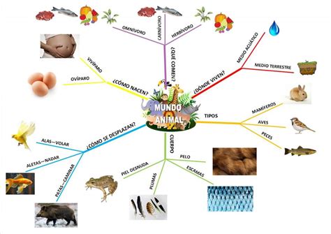 Mapa mental de animales ¡Tienes que saber ESTO!