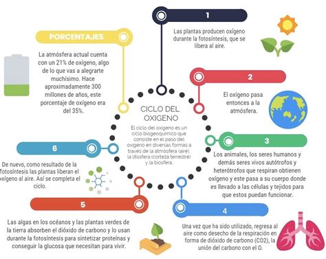 Mapa mentaldeloxigeno