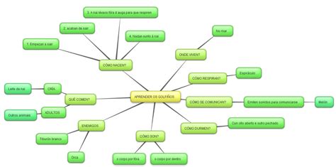 O BLOG DE LIDIA MAPA CONCEPTUAL LOS DELFINES