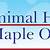 maple orchard animal hospital