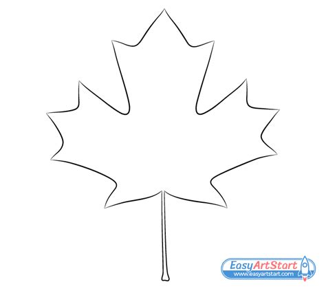 Maple Leaf Drawing