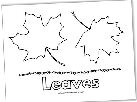 Maple Leaf Learning Printables