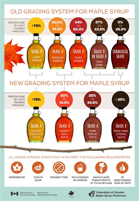 Maple Syrup Grade A Vs C