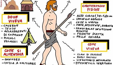 Mappa Concettuale Homo Sapiens Sapiens / 4a elementare: Mappa