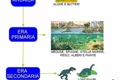 LE ERE GEOLOGICHE, classe terza. I dinosauri – Maestra Mihaela | Scuola