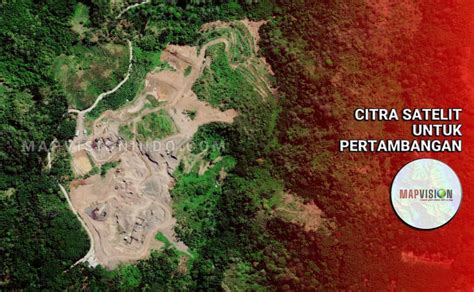 Google Maps Satelit Hutan