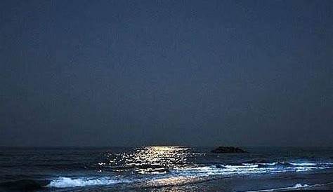 Mar de la noche foto de archivo. Imagen de negro, arte - 1448830