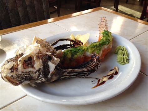 Discover Unforgettable Marathon Eats: Diners' Guide to Epic Adventures