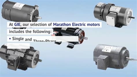 marathon electric motors distributors